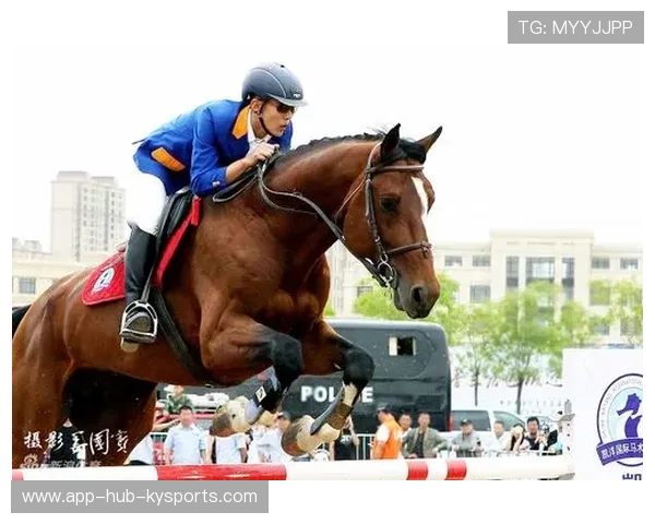 克罗地亚骑手马特·布尼奇在2024年国际马术联合会世界障碍赛中获得第七名，表现出色。