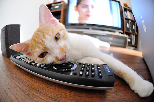 开云·体育官网-赛事赞助模式不断创新,赛事赞助模式不断创新的例子