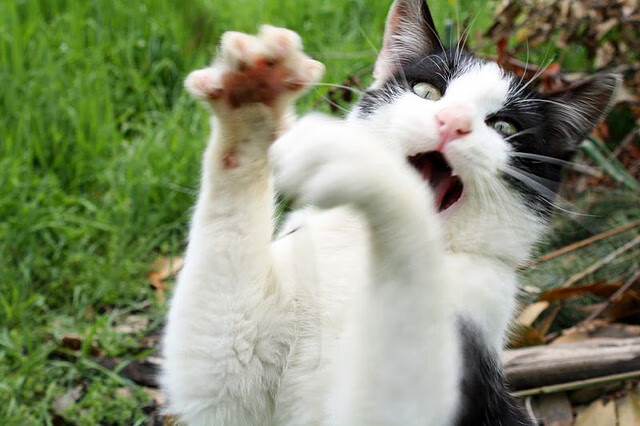 开云官网登录-选手首次登台紧张又兴奋展现青春风采,作为第一个出场的选手 比较紧张