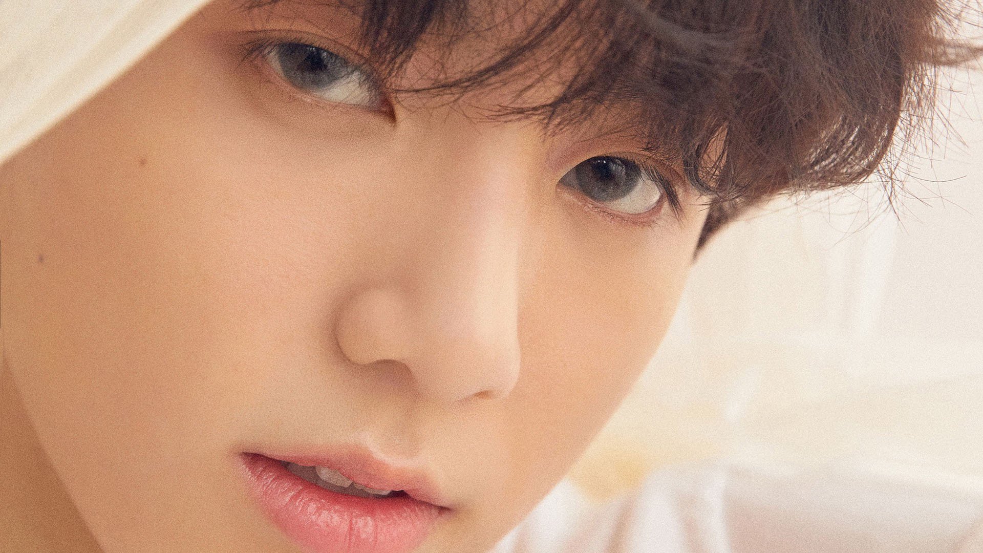 开云体育平台-张雨霏自由泳冲刺抢眼,张雨霏自由泳视频